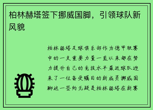 柏林赫塔签下挪威国脚，引领球队新风貌